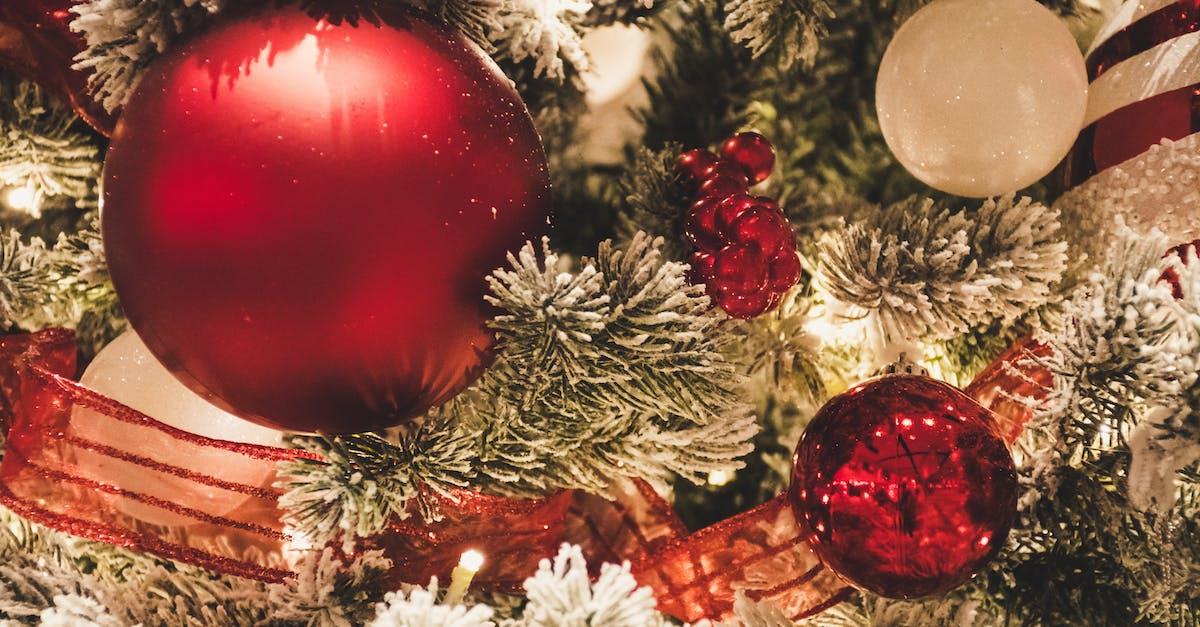 Køb dit juletræ online i år